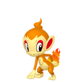 Shiny Chimchar in Legends of Arceus